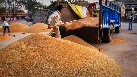 किसानों के विरोध के आगे झुकी सरकार, हरियाणा और पंजाब में कल से खरीदा जाएगा धान किसानों के विरोध के आगे झुकी सरकार, हरियाणा और पंजाब में कल से खरीदा जाएगा धान
