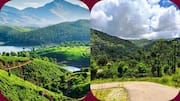 कूर्ग या मुन्नार? दोनों पहाड़ी क्षेत्रों में से किसे चुनना है बेहतर? जानिए
