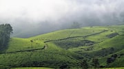 मानसून के दौरान दक्षिण भारत की इन जगहों पर करें यात्रा, कम होगा खर्चा