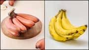 लाल बनाम पीला केला: इनमें से किसका सेवन सेहत के लिए होता है बेहतर?
