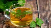 सेहत के लिए फायदेमंद है तुलसी और हल्दी की चाय, जानिए इसके फायदे