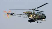 NewsBytesExplainer: चीता हेलीकॉप्टर 60 साल बाद भी क्यों है भारतीय सशस्त्र बलों का अभिन्न अंग? 