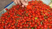 मिर्च की इन किस्मों के बारे में नहीं जानते होंगे आप, स्वाद में होती हैं लाजवाब 