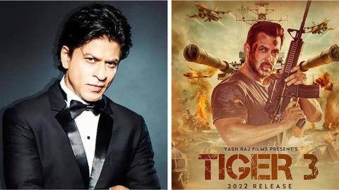 'पठान' से 'टाइगर 3' तक, करोड़ों रुपये में बिके इन फिल्मों के डिजिटल राइट्स 'पठान' से 'टाइगर 3' तक, करोड़ों रुपये में बिके इन फिल्मों के डिजिटल राइट्स