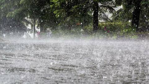 उत्तर प्रदेश: बारिश के कारण हुए विभिन्न हादसों में 10 की मौत, 11 अन्य घायल उत्तर प्रदेश: बारिश के कारण हुए विभिन्न हादसों में 10 की मौत, 11 अन्य घायल