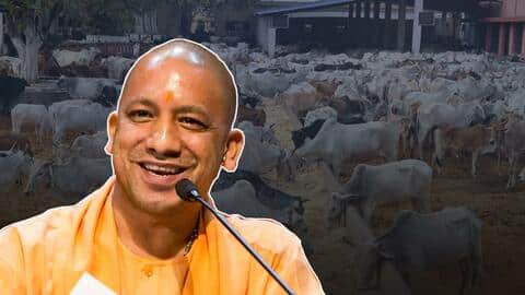 उत्तर प्रदेश सरकार ने आवारा पशुओं के लिए बनाई योजना, गोबर से बनाई जाएगी बायोगैस उत्तर प्रदेश सरकार ने आवारा पशुओं के लिए बनाई योजना, गोबर से बनाई जाएगी बायोगैस