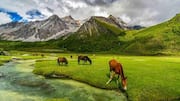 अकेले यात्रा करने के लिए बेहतरीन हैं ये पहाड़ी जगहें, एक बार जरूर जाएं