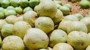 क्या अमृत फल बन सकता है अप्राकृतिक मिठास का विकल्प? जानें इसकी सच्चाई
