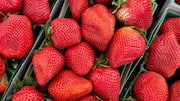 त्वचा और सेहत के लिए लाभदायक है स्ट्रॉबेरी, जानिए इसके 5 प्रमुख फायदे
