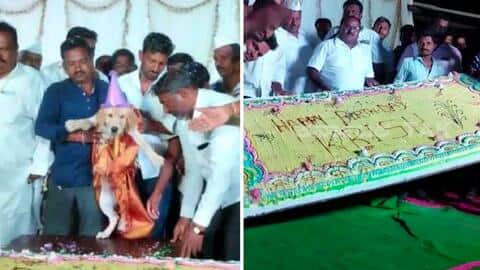 कर्नाटक: शख्स ने 100 किलो का केक काटकर कुत्ते का जन्मदिन मनाया, 4,000 लोगों को दावत कर्नाटक: शख्स ने 100 किलो का केक काटकर कुत्ते का जन्मदिन मनाया, 4,000 लोगों को दावत