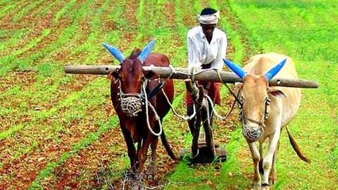 सरकार की इन योजनाओं से किसानों को फायदा, खरीद सकते हैं खाद, बीज और बिजली सरकार की इन योजनाओं से किसानों को फायदा, खरीद सकते हैं खाद, बीज और बिजली