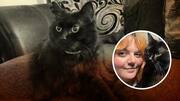 ऑस्ट्रेलिया: बिल्ली के इलाज पर महिला ने खर्च किए 7 लाख रुपये, नहीं निकली कोई बीमारी