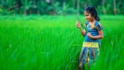 बच्चों का प्रकृति प्रेम बढ़ाने के लिए आजमाएं ये 5 मजेदार तरीके, हो जाएंगे खुश