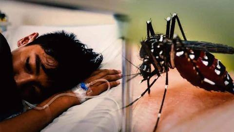 थम नहीं रहा डेंगू का प्रकोप, केंद्र ने नौ राज्यों में भेजीं टीमें थम नहीं रहा डेंगू का प्रकोप, केंद्र ने नौ राज्यों में भेजीं टीमें