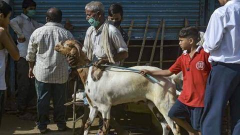 कोरोना वायरस: धार्मिक सभाओं की मंजूरी देने का केरल सरकार का फैसला गलत था- सरकारी विशेषज्ञ कोरोना वायरस: धार्मिक सभाओं की मंजूरी देने का केरल सरकार का फैसला गलत था- सरकारी विशेषज्ञ