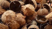 नारियल का छिलका फेंकने की बजाय आजमाएं ये बेहतरीन तरीके