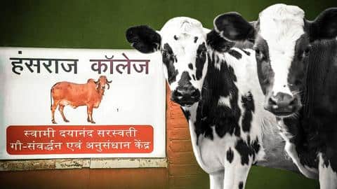 दिल्ली: हंसराज कॉलेज में होगा गाय पर शोध, विरोध में उतरे छात्र दिल्ली: हंसराज कॉलेज में होगा गाय पर शोध, विरोध में उतरे छात्र