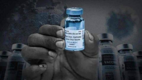 WHO की मंजूरी ने 'कोवैक्सिन' का दुनियाभर में उपयोग का रास्ता खोला- ICMR प्रमुख WHO की मंजूरी ने 'कोवैक्सिन' का दुनियाभर में उपयोग का रास्ता खोला- ICMR प्रमुख