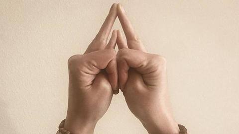 शक्ति मुद्रा: बेहद लाभदायक है यह योग, जानिए इसके अभ्यास का तरीका और अन्य महत्वपूर्ण बातें शक्ति मुद्रा: बेहद लाभदायक है यह योग, जानिए इसके अभ्यास का तरीका और अन्य महत्वपूर्ण बातें