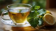 सेहत को कई लाभ प्रदान करने में मदद कर सकती है लेमन बाम चाय, ऐसे बनाएं
