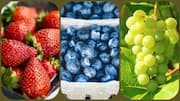 स्ट्रॉबेरी बनाम ब्लूबेरी बनाम अंगूर: इनमें से किसका सेवन सेहत के लिए है बेहतर?