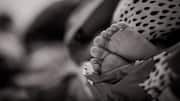 मध्य प्रदेश: गर्म लोहे से दागने से नवजात बच्ची की मौत, चार दिन में दूसरा मामला