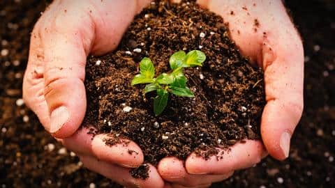 जानिए गार्डनिंग के लिए कौन-कौन सी मिट्टी का किया जाता है इस्तेमाल जानिए गार्डनिंग के लिए कौन-कौन सी मिट्टी का किया जाता है इस्तेमाल