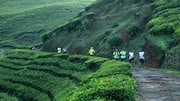 कर्नाटक: कोडागु में स्थित ये जगहें हैं घूमने के लिए बेहतरीन