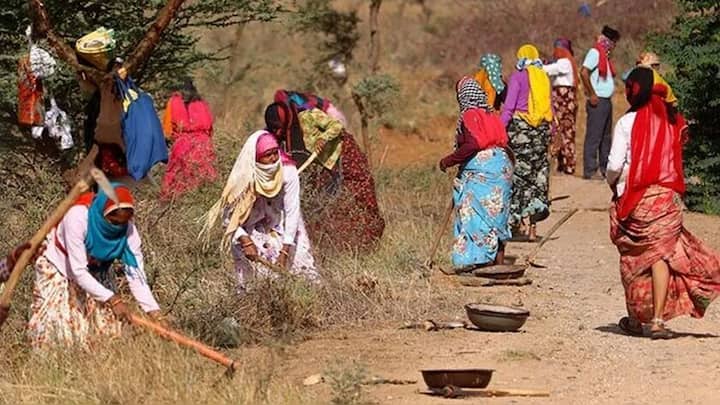 मनरेगा से कितना अलग है 'VB-जी राम जी?' रोजगार के दिन समेत क्या-क्या बदला?