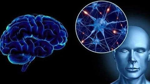 पार्किंसंस रोग के जोखिम कम करने में सहायक हैं ये प्राणायाम, ऐसे करें अभ्यास पार्किंसंस रोग के जोखिम कम करने में सहायक हैं ये प्राणायाम, ऐसे करें अभ्यास