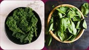 पालक बनाम केल: इनमें से किसका सेवन सेहत के लिए है ज्यादा फायदेमंद?
