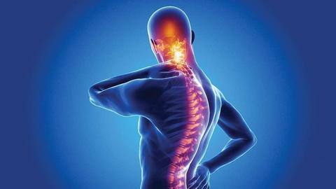 स्लिप डिस्क की समस्या से राहत दिलाने में सहायक हैं ये योगासन, जानिए अभ्यास का तरीका स्लिप डिस्क की समस्या से राहत दिलाने में सहायक हैं ये योगासन, जानिए अभ्यास का तरीका