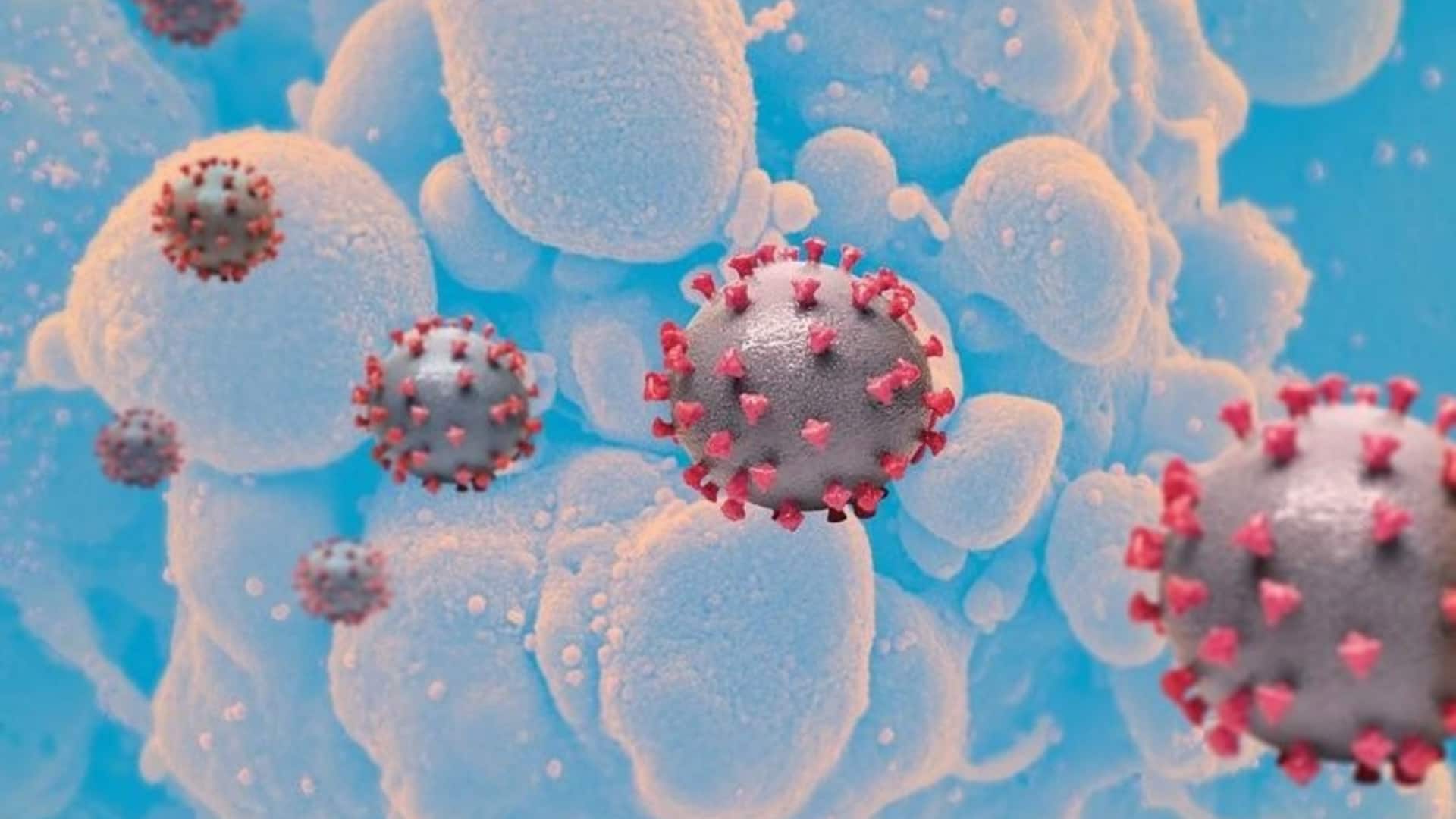 अमेरिका में फैल रहा कोरोना वायरस का नया वेरिएंट BA.3.2 कितना घातक है?