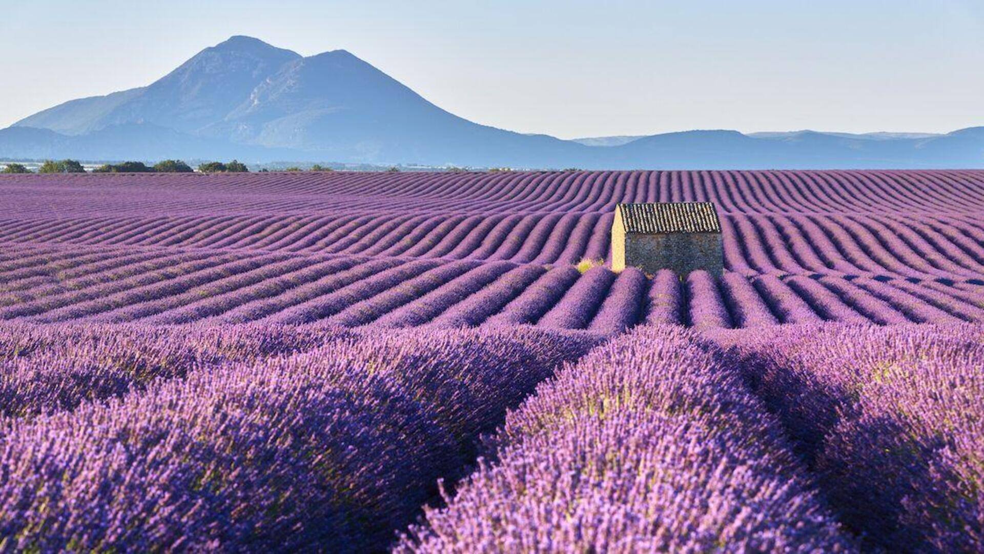 फ्रांस: प्रोवेंस की यात्रा के दौरान इन 5 गतिविधियों को जरूर आजमाएं, सफर में आएगा मजा