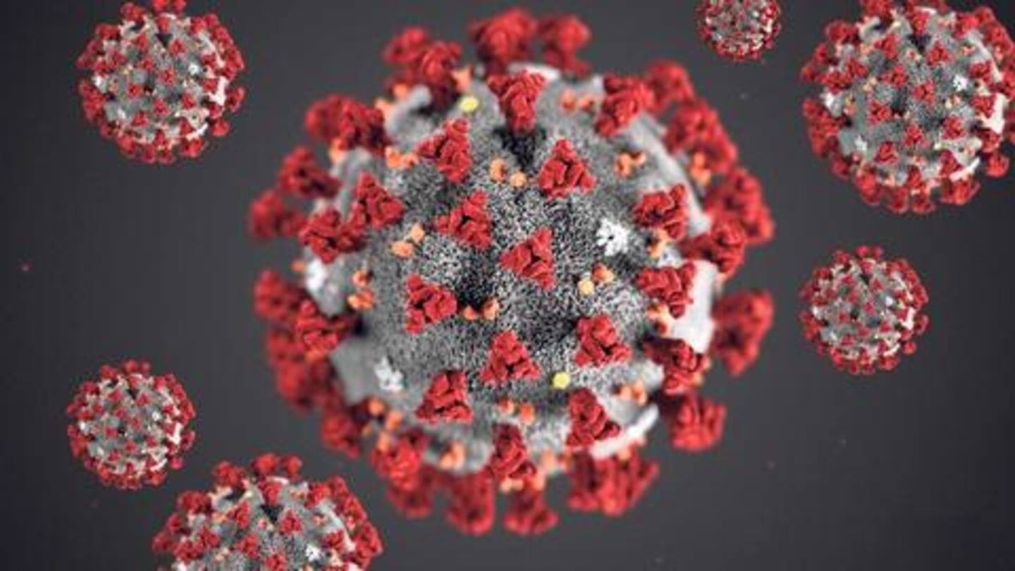 कोरोना वायरस महामारी घोषित, भारत ने 15 अप्रैल तक रद्द किए वीजा
