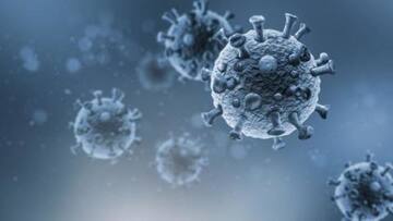 कोरोना वायरस: देश में 2.5 लाख से अधिक संक्रमित, पिछले 24 घंटे में 9,983 नए मामले