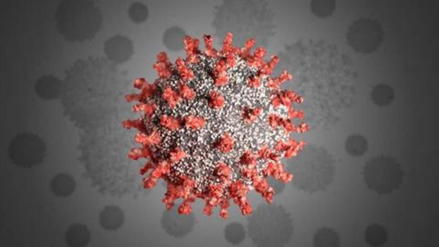 कोरोना वायरस: महाराष्ट्र में छह हजार से ज्यादा संक्रमित, देशभर में आंकड़ा 23 हजार पार