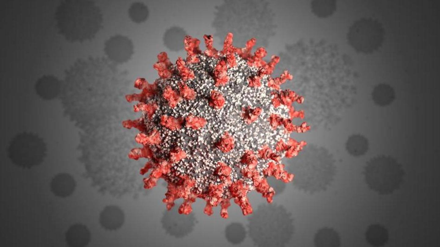 कोरोना वायरस की चपेट में आ चुकी हैं दुनियाभर की ये बड़ी और महत्वपूर्ण शख्सियतें