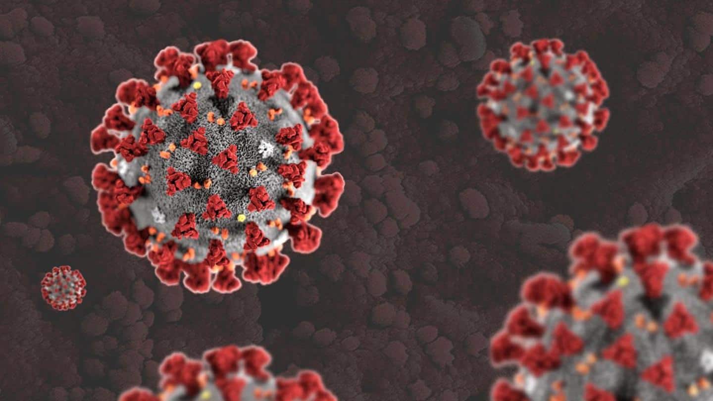 दो साल से कम समय में खत्म हो जाएगी कोरोना वायरस महामारी, WHO ने जताई उम्मीद