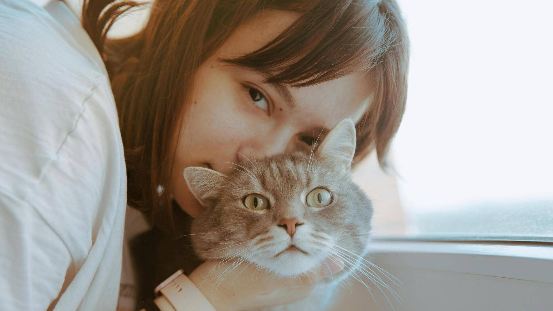 पहली बार पालतू जानवर लेने जा रहे हैं? इन बातों का रखें खास ध्यान