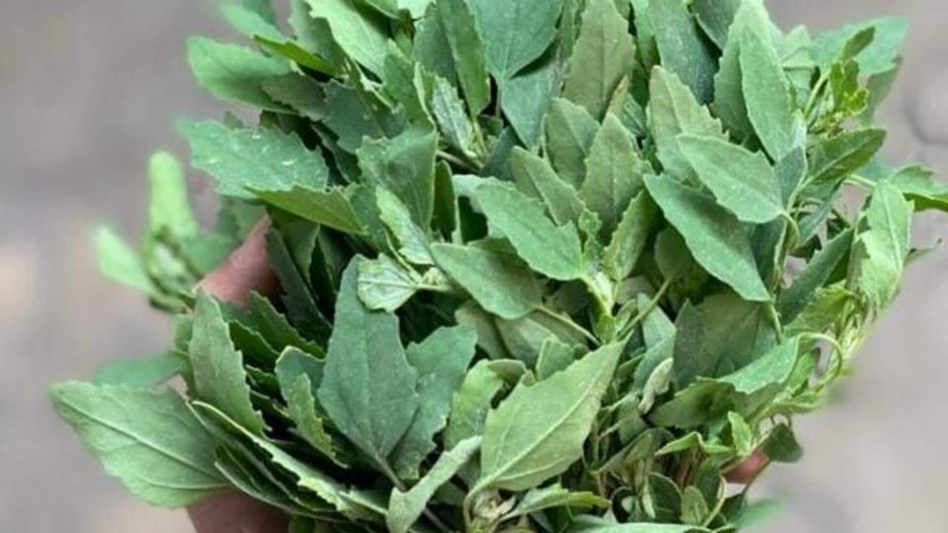 पोषक तत्वों से भरपूर होता है बथुआ, जानिए इसके सेवन से मिलने वाले फायदे