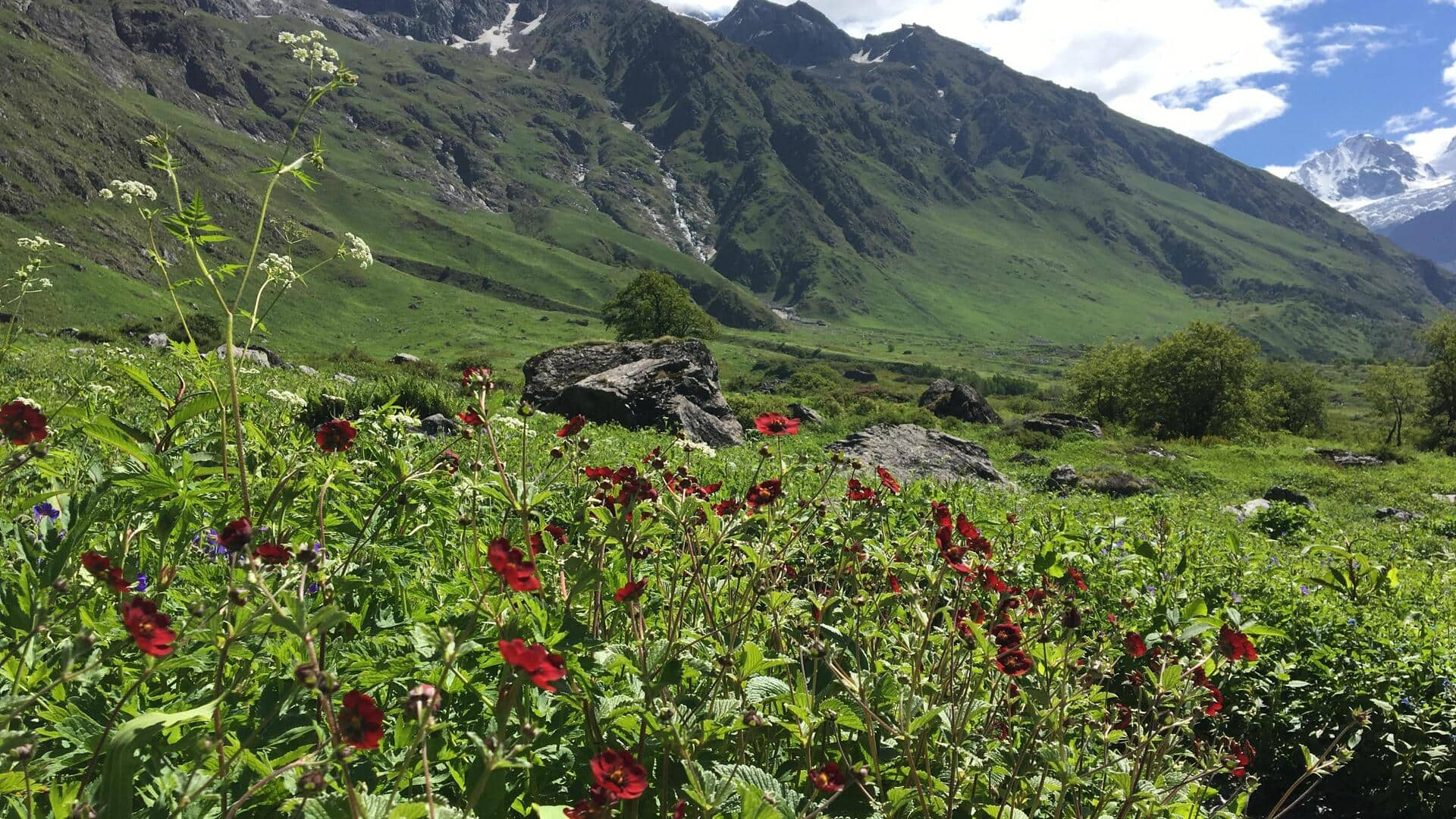 उत्तराखंड: नंदा देवी नेशनल पार्क की यात्रा में इन 5 गतिविधियों का लें आनंद