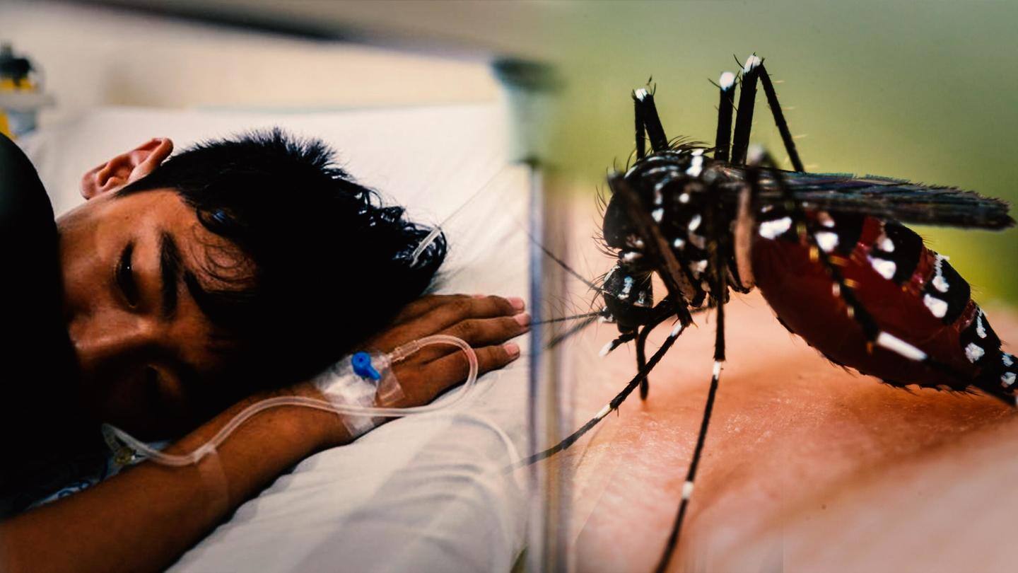 उत्तर प्रदेश: फिरोजाबाद में पिछले 10 दिनों में 45 बच्चों की मौत, डेंगू की  आशंका | न्यूजबाइट्स
