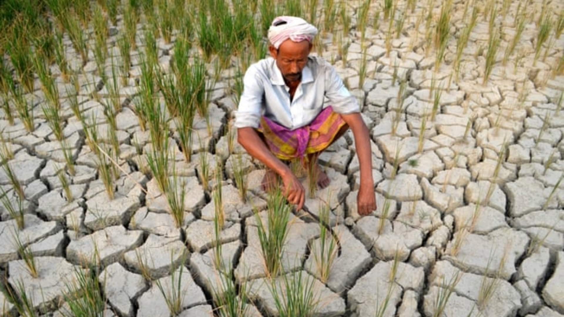 महाराष्ट्र के 265 तहसीलों में सूखा घोषित, किसानों के लिए हुए ये ऐलान