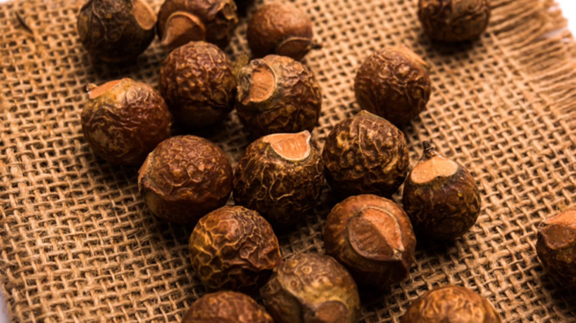 गर्मियों के दौरान बालों की झड़ने की समस्या को नियंत्रित करने में सहायक हैं ये जड़ी-बूटियां