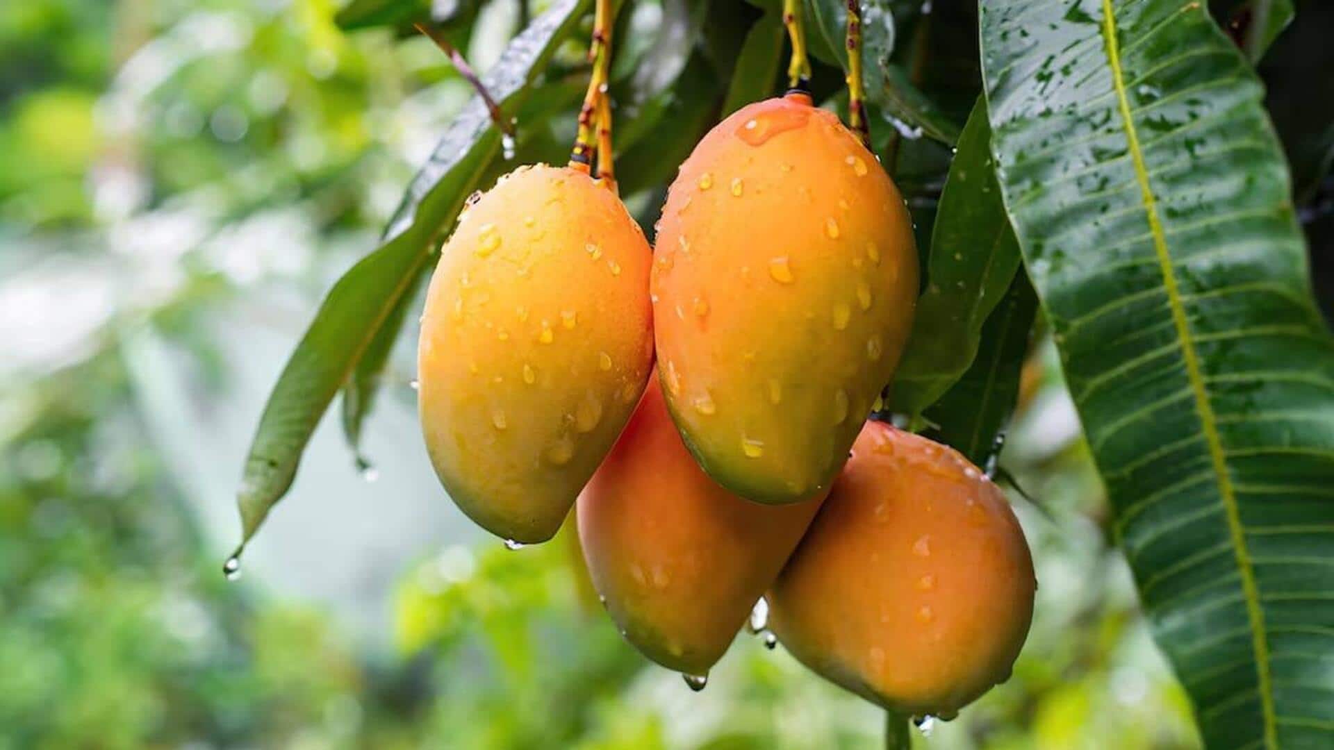 क्या गर्मियों में आम खाना ठीक है? जानें इसके फायदे और नुकसान