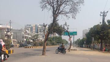 लखनऊ में सड़क के बीचों-बीच लगे पेड़ हादसे को दे रहे दावत, प्रशासन सुस्त