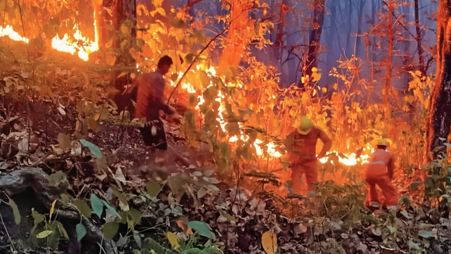 उत्तराखंड के जंगलों में नहीं रुक रही आग की तबाही, अब तक 10 की मौत