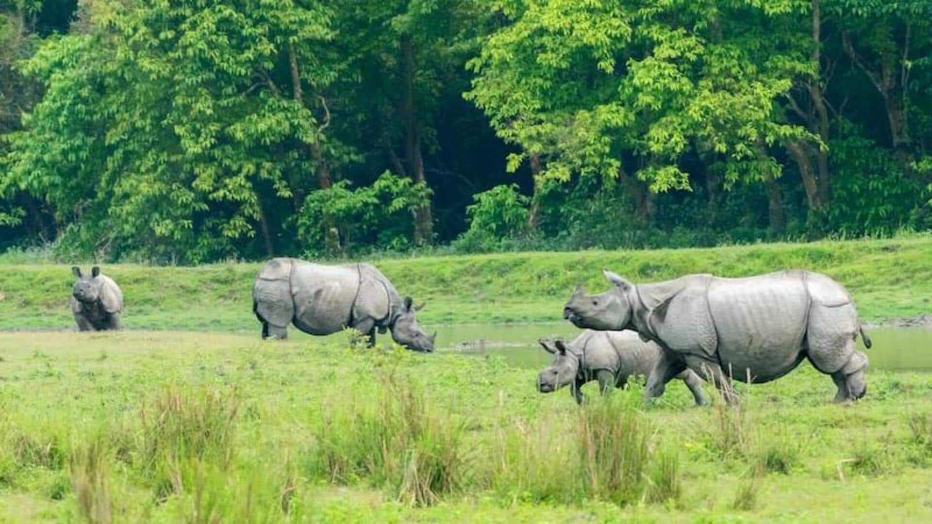 अगर आप वन्यजीवों के शौकीन हैं तो भारत के इन राष्ट्रीय उद्यानों का जरूर करें रुख अगर आप वन्यजीवों के शौकीन हैं तो भारत के इन राष्ट्रीय उद्यानों का जरूर करें रुख