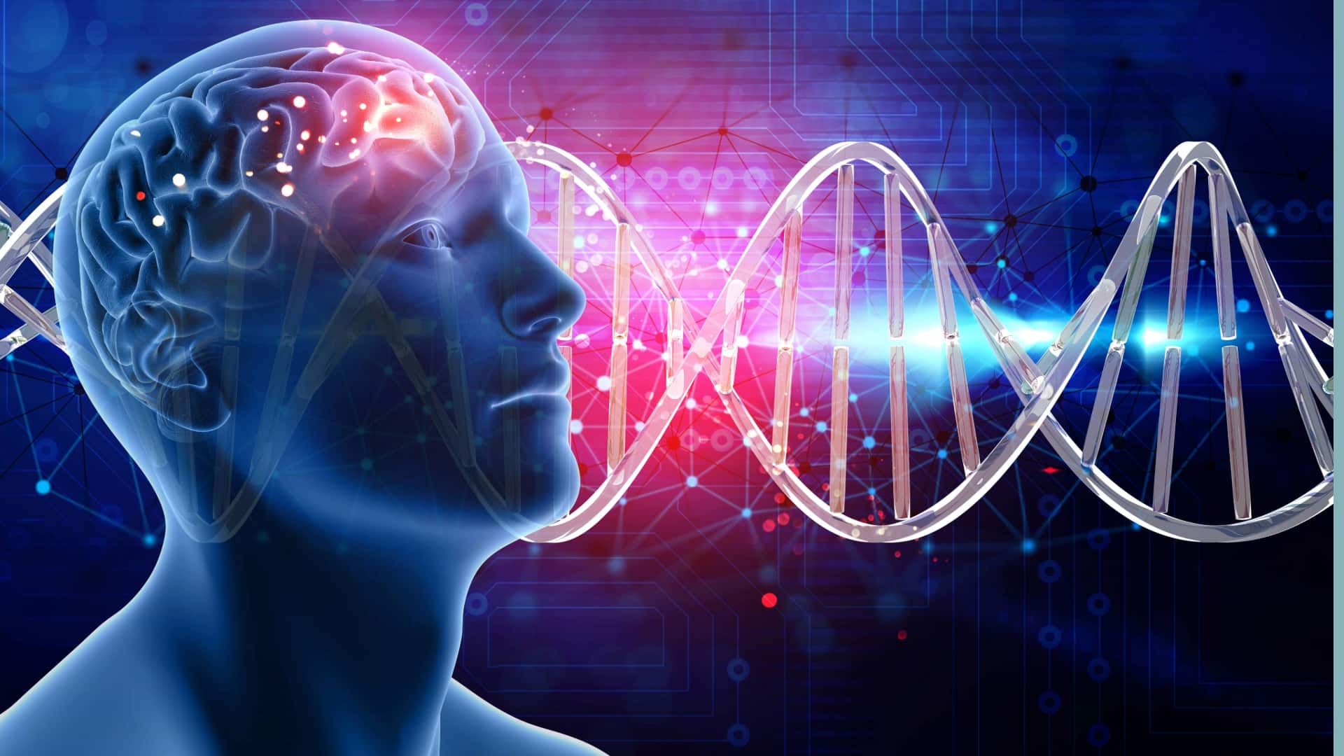 वैज्ञानिकों ने चावल के दाने से भी छोटा मस्तिष्क प्रत्यारोपण बनाया, जानिए कैसे करता है काम 